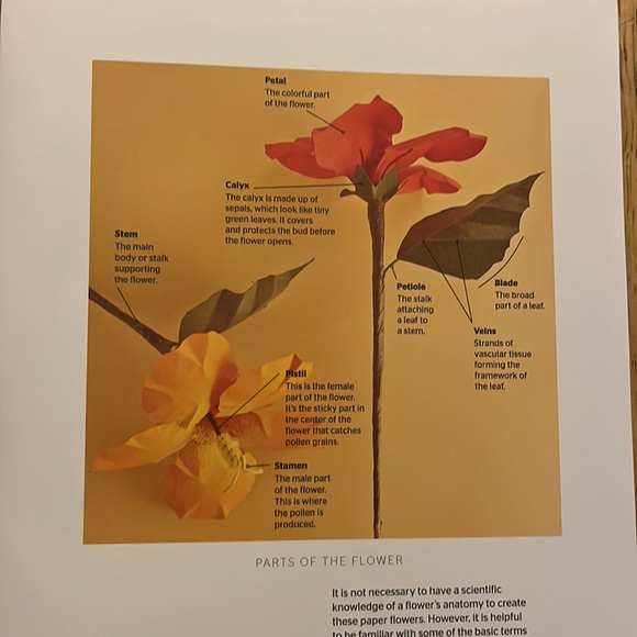 The Art of Paper Flowers By Bobby Pearce - Picture 7 of 12